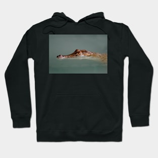 Crocodile Hoodie